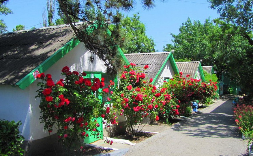 Фотография базы отдыха Мир