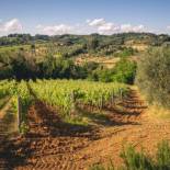 Фотография базы отдыха Agriturismo Borgo Villa Certano