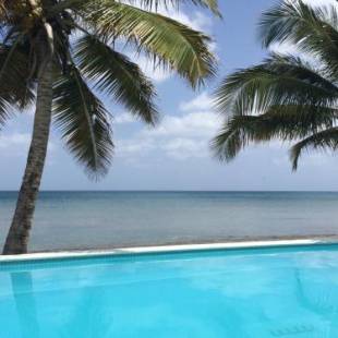 Фотография гостиницы Bravo Beach Hotel