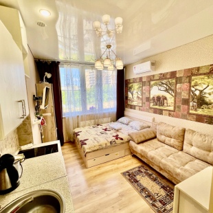 Фотография квартиры Апартаменты Panorama Kazan Studio Center 1