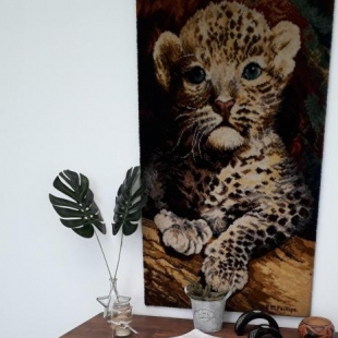 Фотография мини отеля Posada Mela