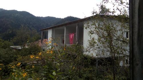 Фотография гостевого дома Цагвери