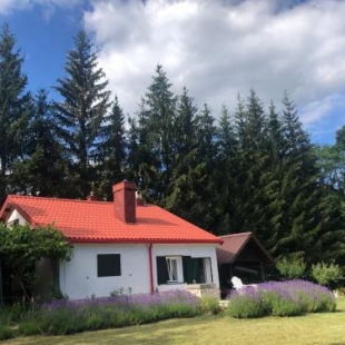 Фотография гостевого дома Lavender Cottage Lukovo
