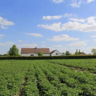 Фотографии мини отеля
B&B De Luyckhoek