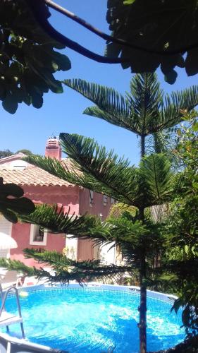 Фотография мини отеля Bois Joli