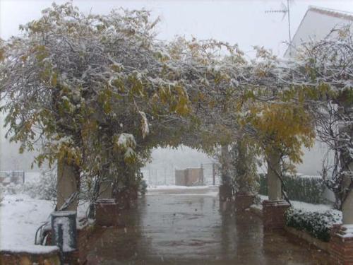 Фотография гостевого дома Villa Remedios