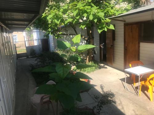 Фотография гостевого дома Пионерский, 209