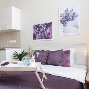 Фотография квартиры КварТигра на улице Партизана Железняка