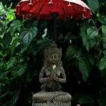 Фотография мини отеля Ayu Homestay