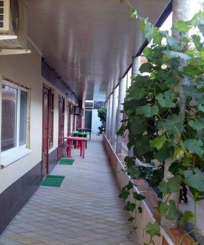 Фотография гостиницы Калинка