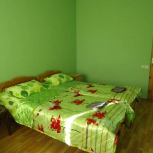 Фотография гостевого дома Koka Guest House