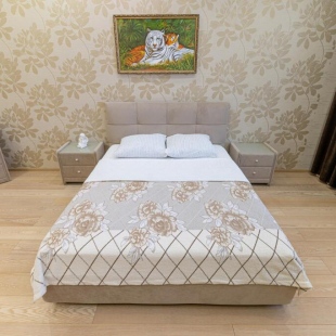 Фотография квартиры Bragin HILL (Брагин Хилл) на улице Нефтяников