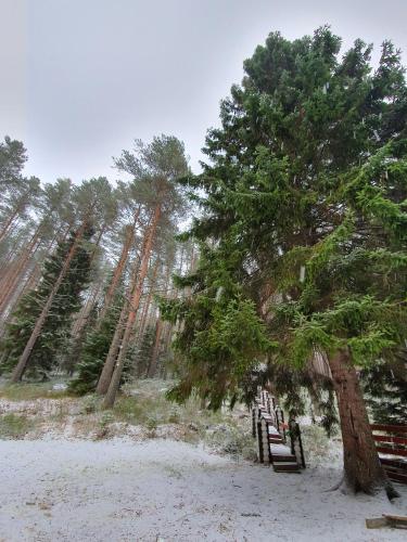 Фотографии гостевого дома
Карелия трэвел