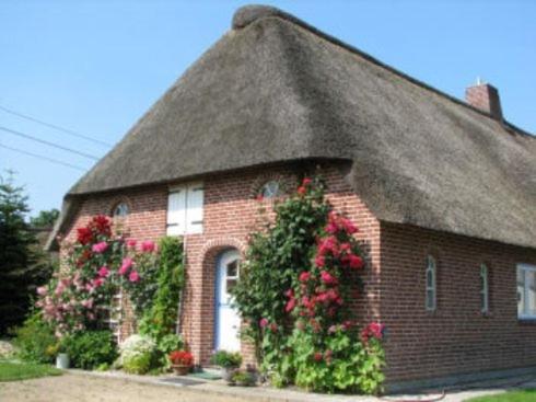 Фотография базы отдыха Friesenhof Mühlenwarft