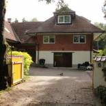 Фотография мини отеля Villa Tiigi