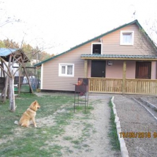 Фотография гостевого дома Дом для хороших гостей