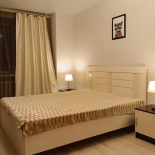 Фотография квартиры Квартира 1-комнатная на улице Мира