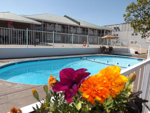 Фотография мини отеля Oak Grove Inn