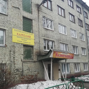 Фотография гостиницы Кузнечанка