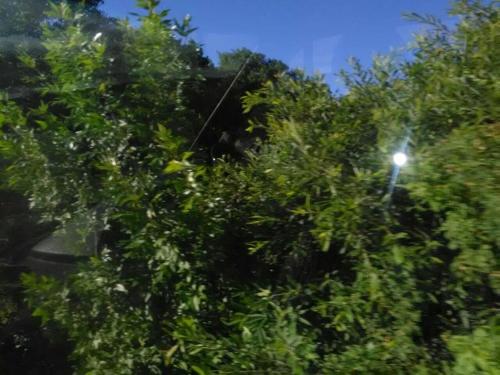 Фотографии гостиницы
KAXETI MTIANETI GORANA