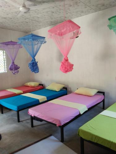 Фотография хостела Helena Hostel