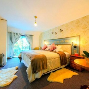 Фотография мини отеля Caminho das Pedras Pousada de Charme