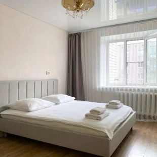 Фотография квартиры Квартира Две Подушки на Воровского 60