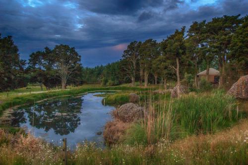 Фотография базы отдыха The Yurt Wai Rua