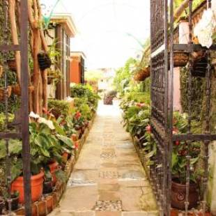 Фотографии гостиницы
Villa Bonita Les Terrasses