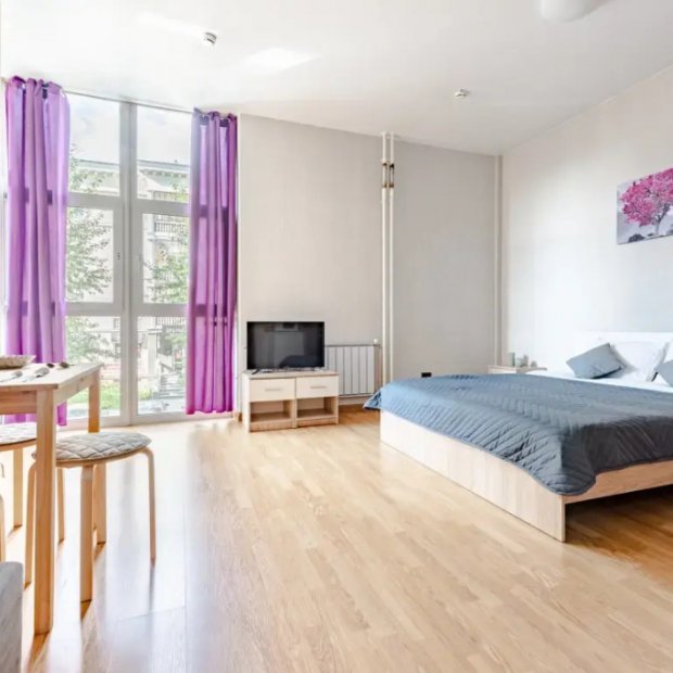 Фотографии квартиры 
            Апартаменты Белинского 30 (209)