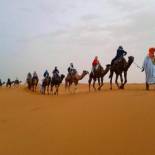 Фотография базы отдыха bassou luxury camp