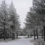 Фотография хостела Residencial Mira-Sol