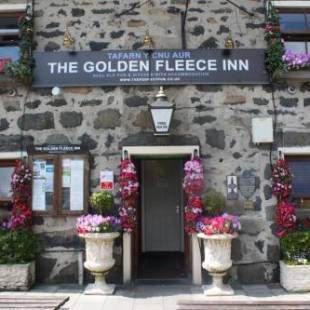Фотографии мини отеля 
            The Golden Fleece Inn