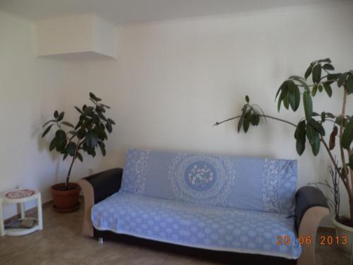 Фотография гостевого дома Pensiunea Bella