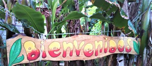 Фотографии хостела 
            PaCasa Hostel