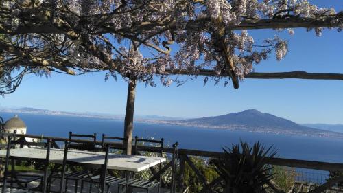 Фотография мини отеля Giardino 21 Marzo