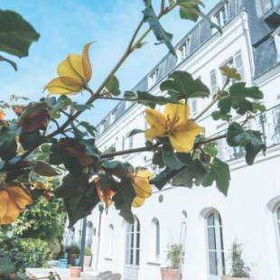 Фотографии гостевого дома 
            Les Tilleuls Etretat