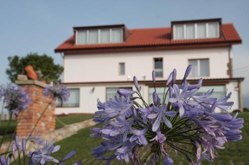 Фотография мини отеля La Casuca de Mamina