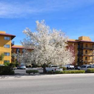 Фотографии гостиницы 
            Oxford Suites Lancaster