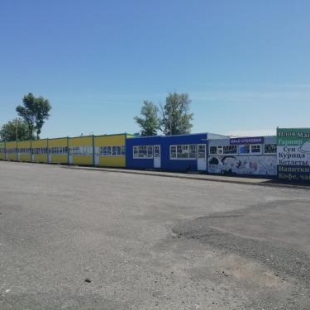 Фотография кемпинга ТД Ореховая роща