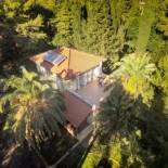 Фотография гостевого дома Rosemary Apartments & Rooms