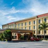 Фотография гостиницы Comfort Inn & Suites Clearwater - St Petersburg Carillon Park