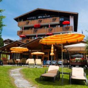 Фотографии гостиницы 
            Hotel Alpenlodge Etoile