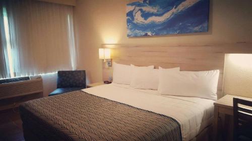 Фотография гостиницы Punta Borinquen Resort