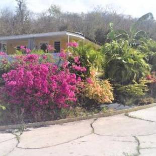 Фотографии гостевого дома 
            Kazavannah beautiful brand new bungalow Vieux Habitants Guadeloupe