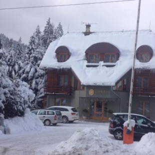 Фотография гостевого дома Penzion Flores