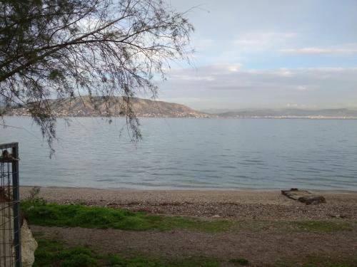 Фотографии гостевого дома 
            Seaside Studio