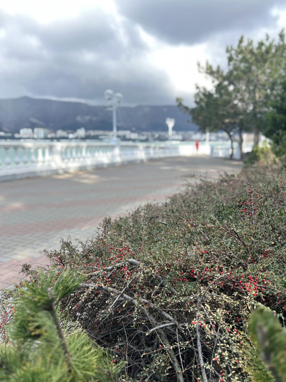 Фотография квартиры Квартира 2ка Недалеко от Моря