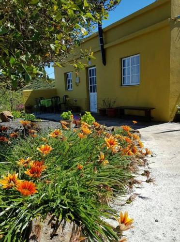 Фотография гостевого дома El Limonero