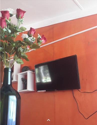 Фотография гостевого дома Los alamos